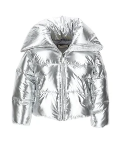 Bomber silver