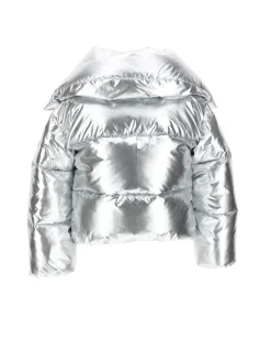 Bomber silver
