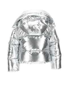 Bomber silver