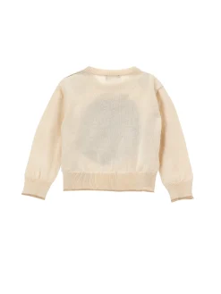 Pull cotone intarsio leone