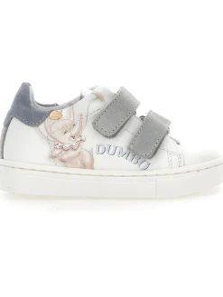 Sneakers Dumbo